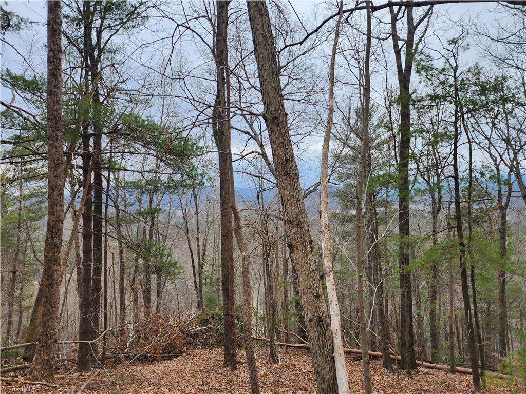 Tbd Larkins Little Mountain Road Boomer, NC 28606 - Photo 7 of 22 Gallery Image 7