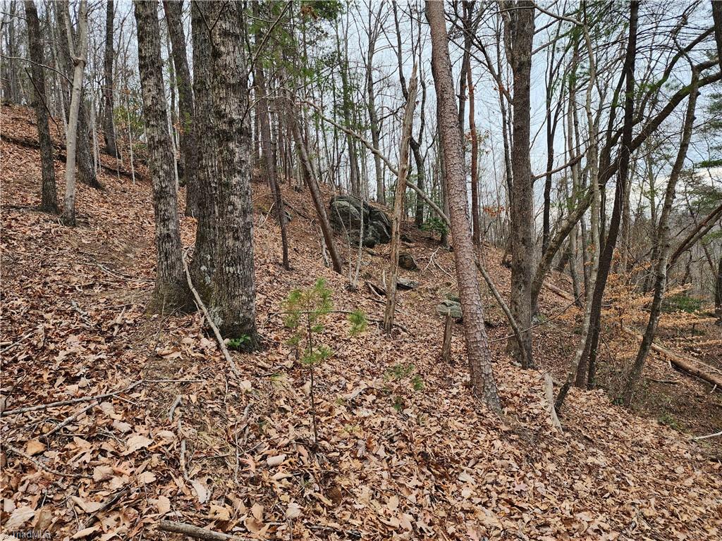 Tbd Larkins Little Mountain Road Boomer, NC 28606 - Photo 8 of 22 Gallery Image 8