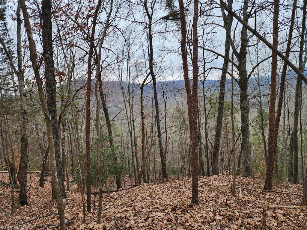 Tbd Larkins Little Mountain Road Boomer, NC 28606 - Photo 9 of 22 Gallery Image 9