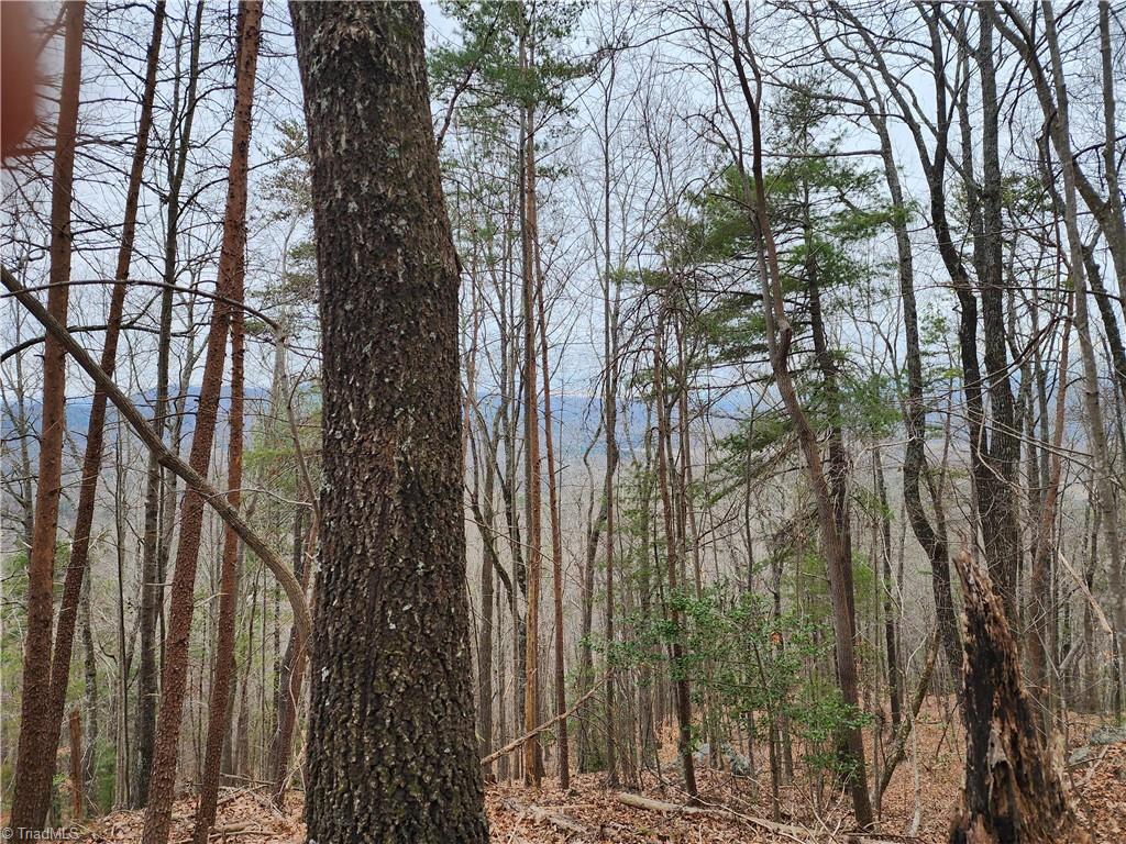 Tbd Larkins Little Mountain Road Boomer, NC 28606 - Photo 10 of 22 Gallery Image 10