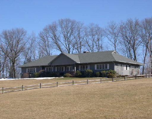 a view of large yard with a large tree