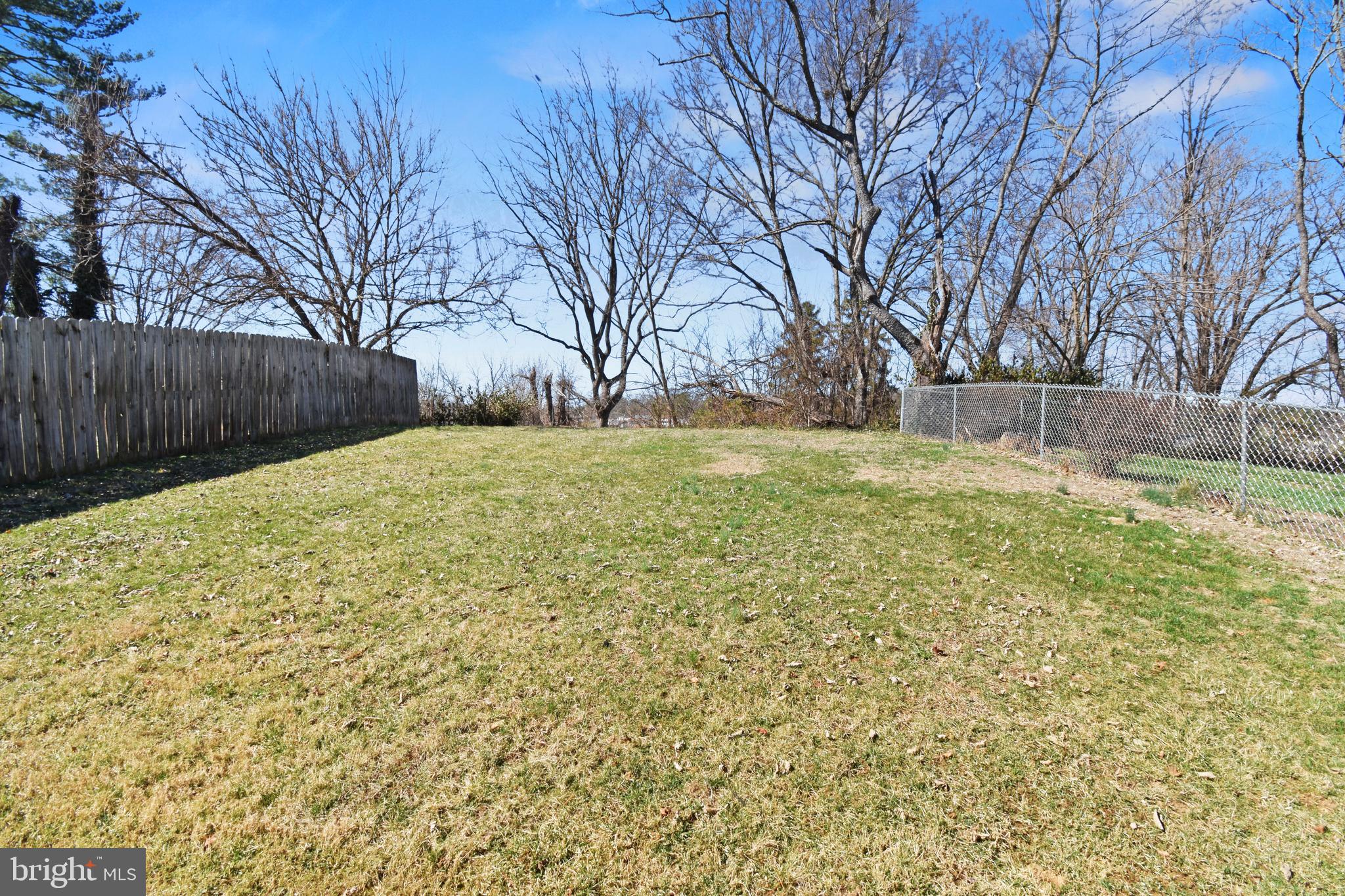 620 B Street Staunton, VA 24401 - Photo 26 of 26 a view of backyard with large trees