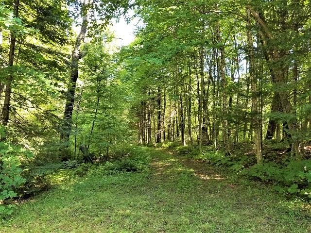7940 North Nagles Road Hurley, WI 54534 - Photo 32 of 32 Gallery Image 32