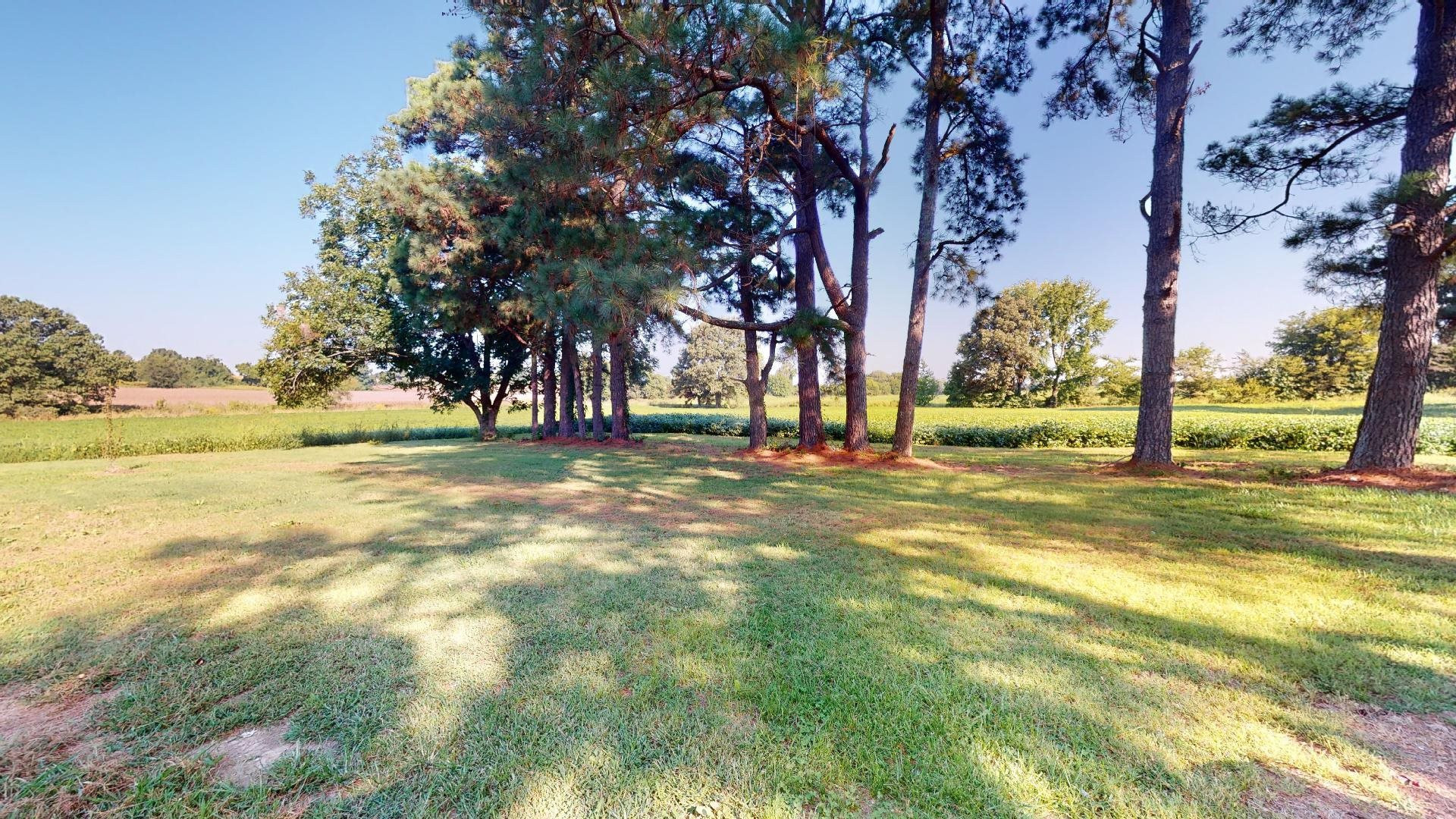 296 Enochs Road Newbern, TN 38059 - Photo 11 of 14 a view of road with large trees