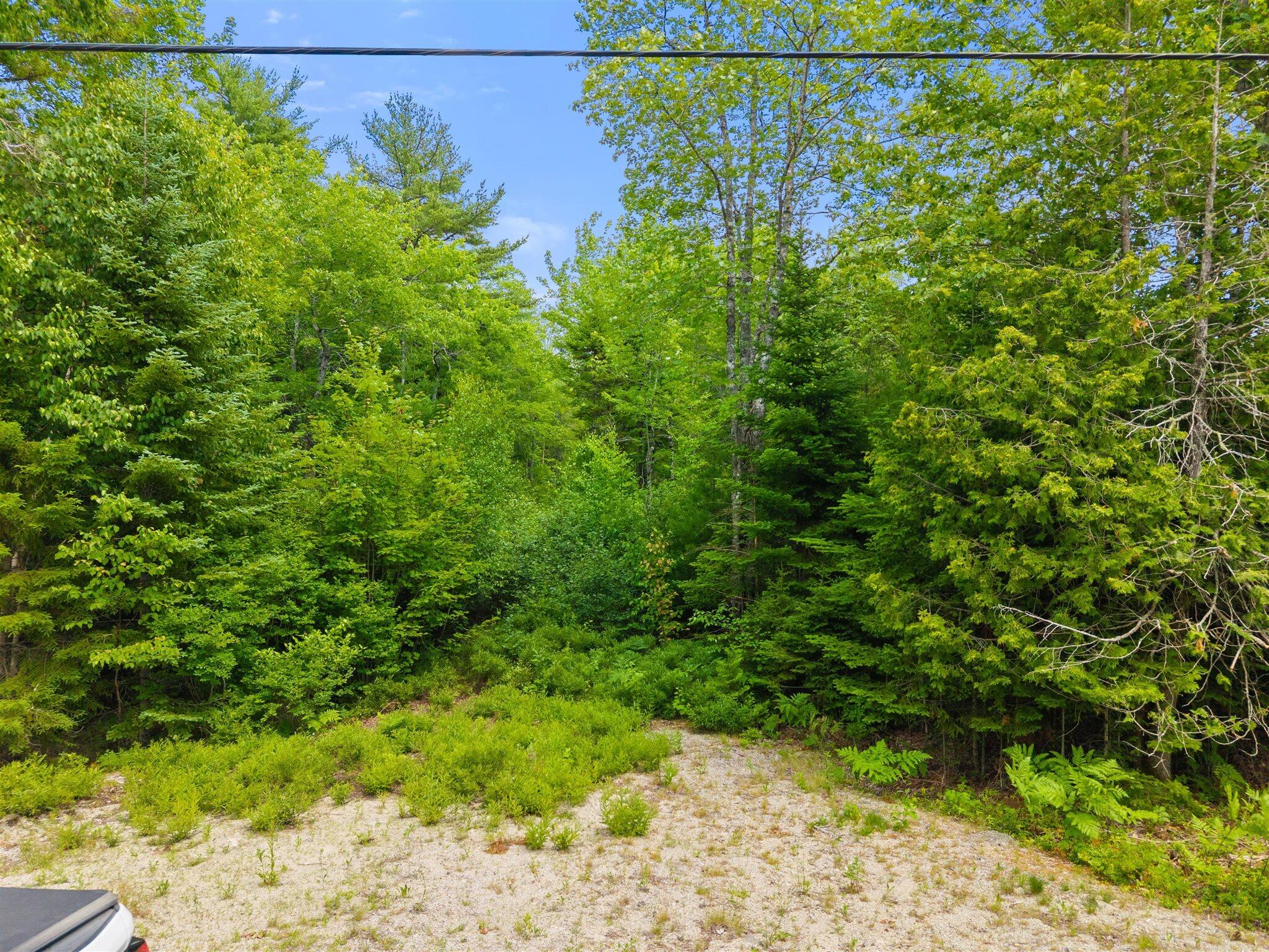 0 Catamount Road Sullivan, ME 04664 - Photo 5 of 23 05-Bert Gray Rd