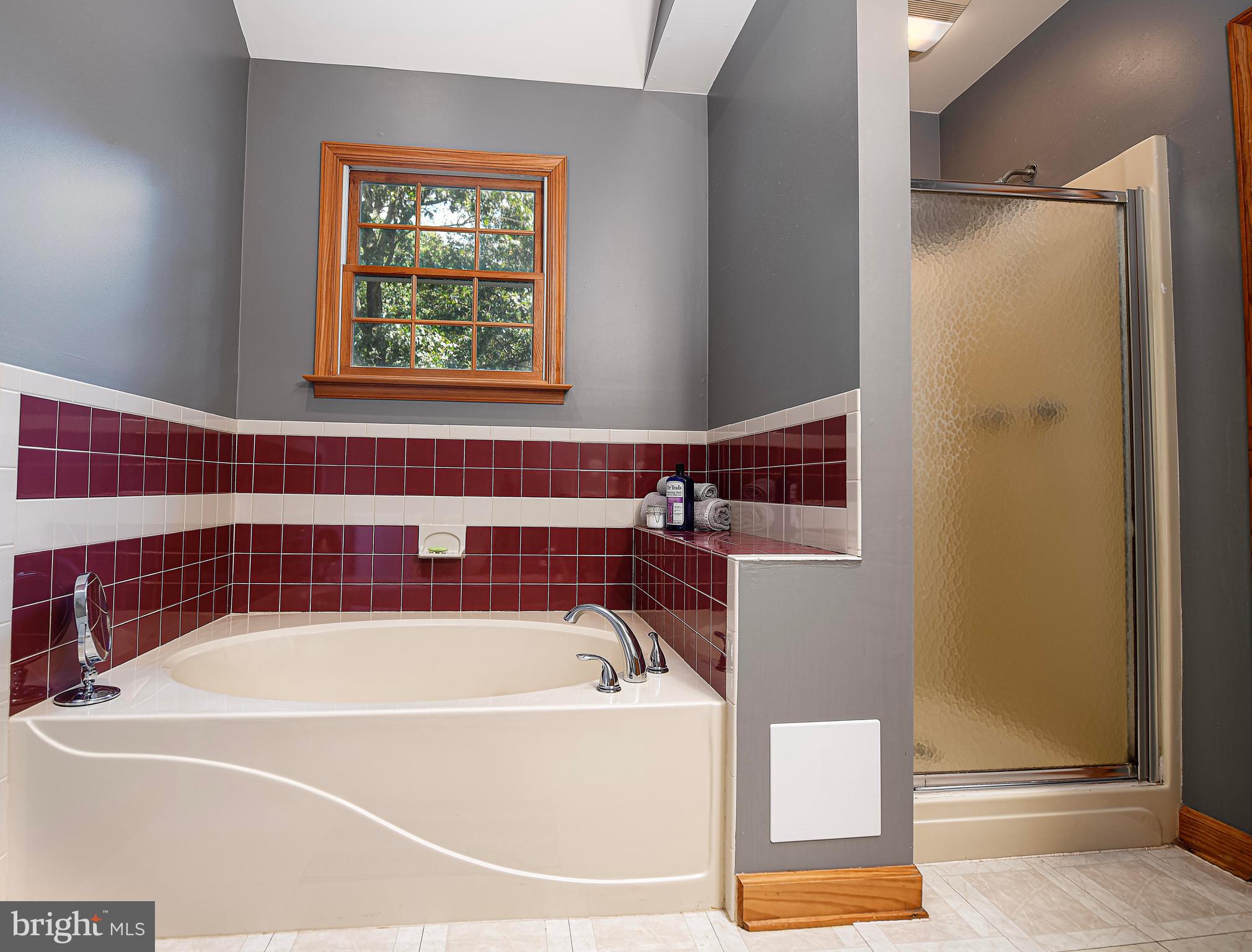844 Stansbury Road Pylesville, MD 21132 - Photo 32 of 51 Soaking tub and separate shower