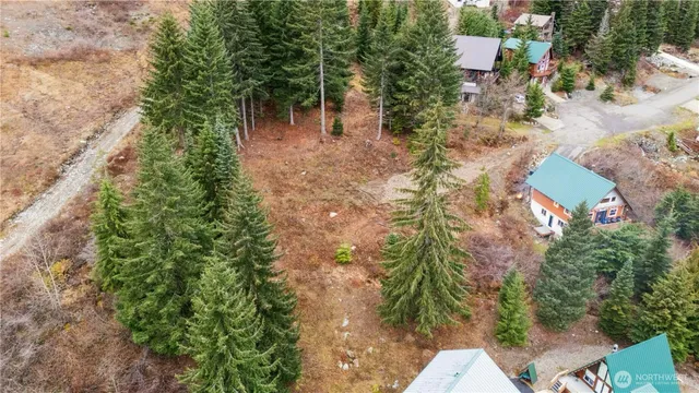 an outdoor space with lots of green space