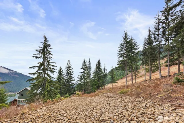 a backyard of a house with large trees