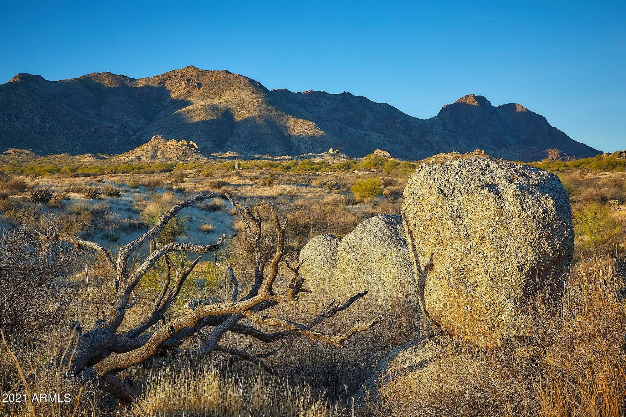 13267 East Ranch Gate Road Scottsdale, AZ 85255 - Photo 5 of 14 desert