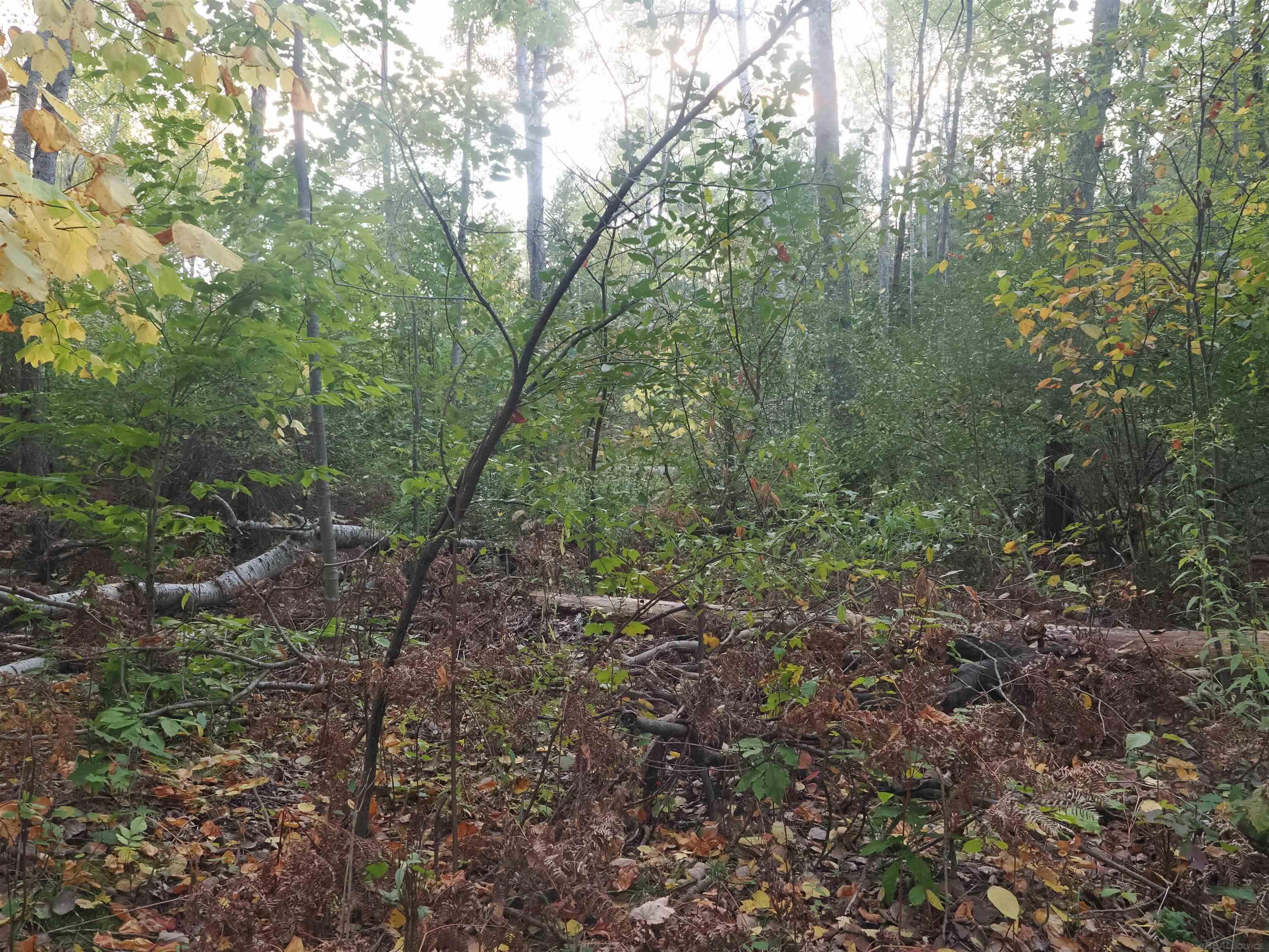 Xxx Tolan Road Spruce, MI 48762 - Photo 60 of 79