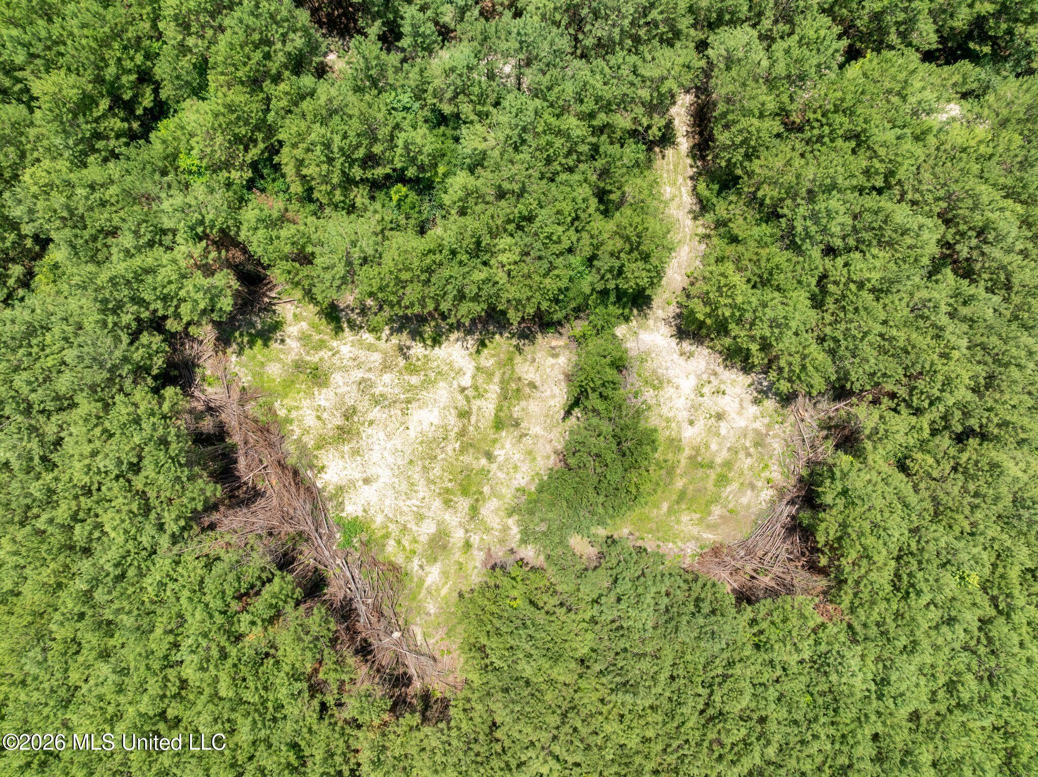 31-acres Ridgeland Road Bassfield, MS 39421 - Photo 11 of 27 85_Ridgeland_Rd-11