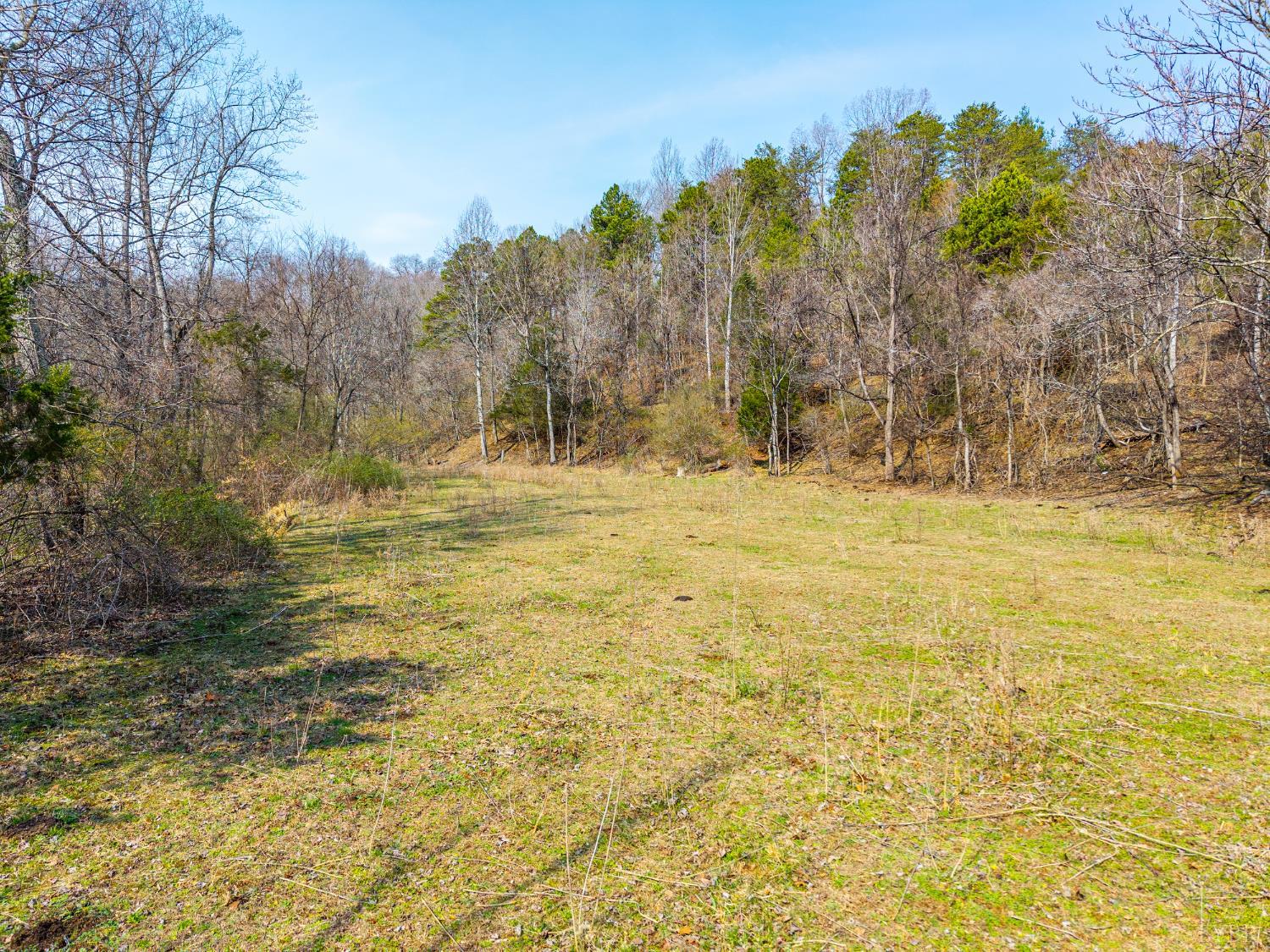 0 Puppy Creek Road Amherst, VA 24521 - Photo 13 of 37