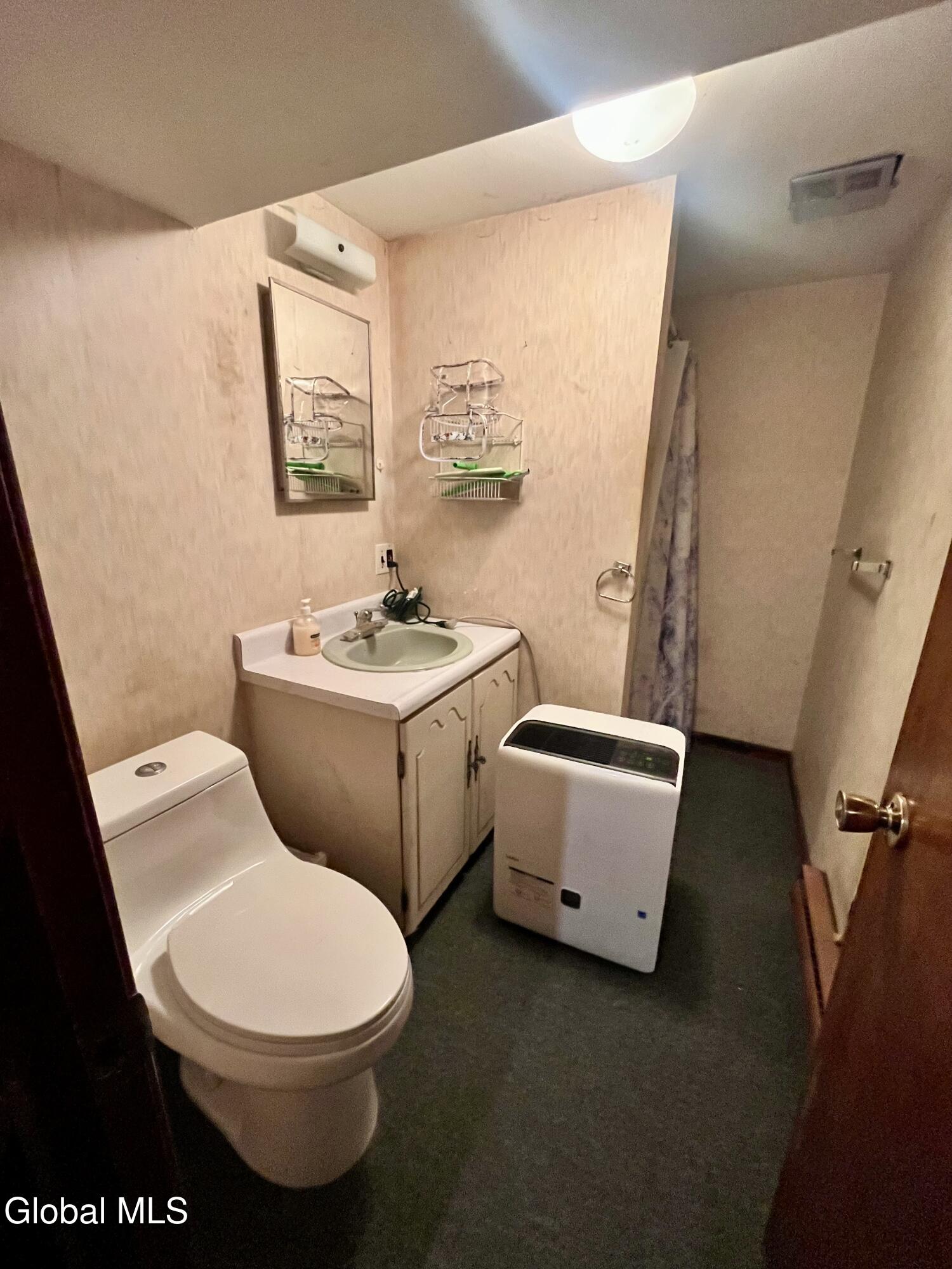 1064 Titus Lake Road Harpersfield, NY 12093 - Photo 23 of 42 IMG_2974