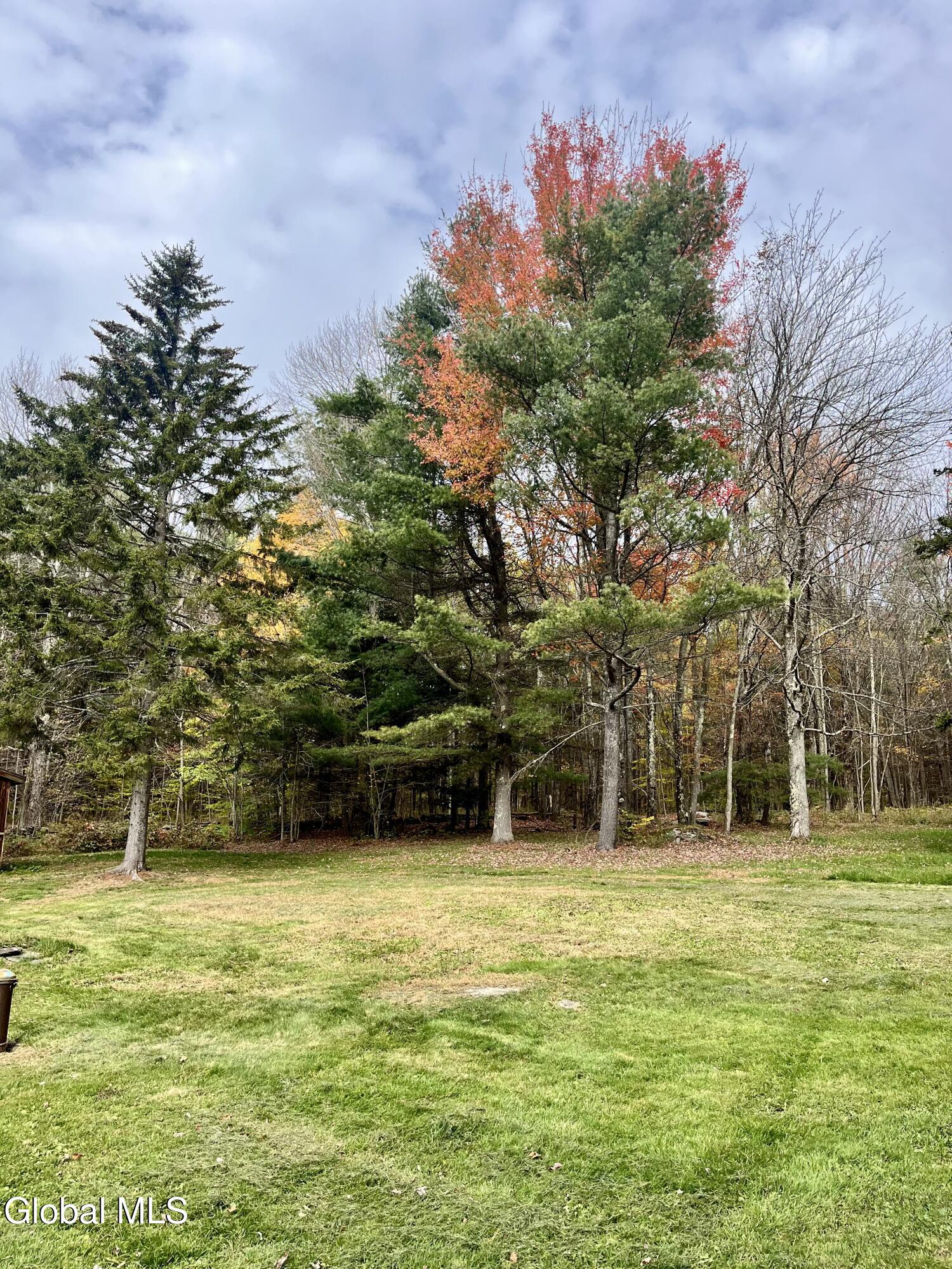 1064 Titus Lake Road Harpersfield, NY 12093 - Photo 30 of 41 IMG_2987