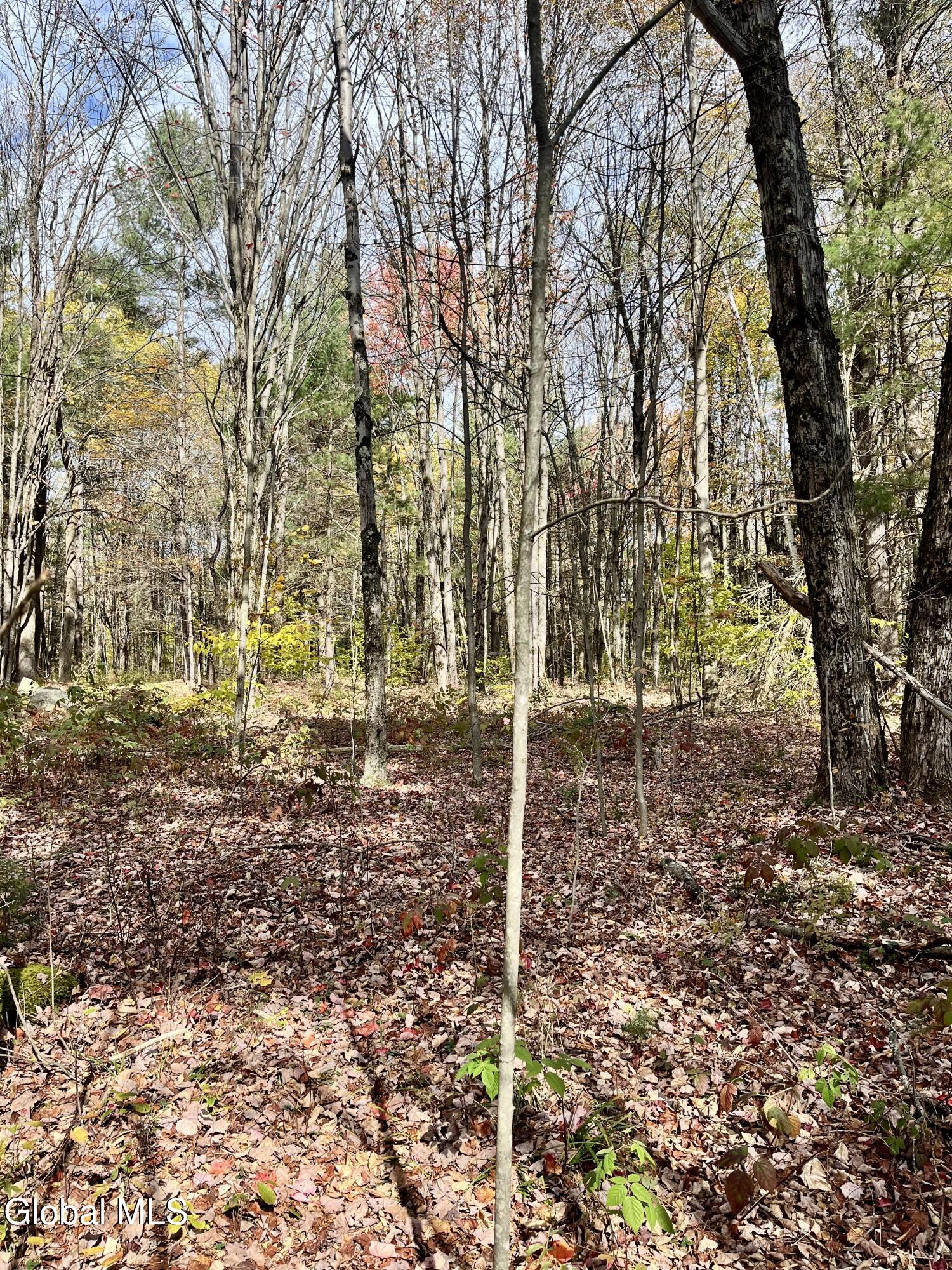 1064 Titus Lake Road Harpersfield, NY 12093 - Photo 33 of 41 IMG_3017