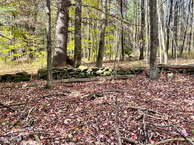 $259,900 | 1064 Titus Lake Road, Harpersfield, NY 12093