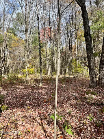 $259,900 | 1064 Titus Lake Road, Harpersfield, NY 12093