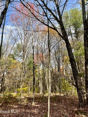 $259,900 | 1064 Titus Lake Road, Harpersfield, NY 12093