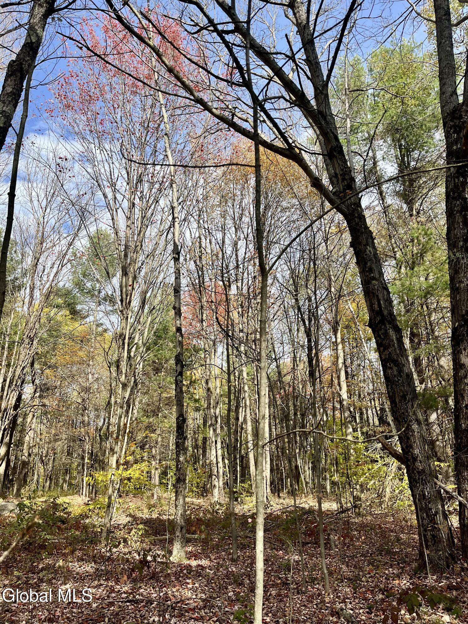 1064 Titus Lake Road Harpersfield, NY 12093 - Photo 38 of 42 IMG_3018