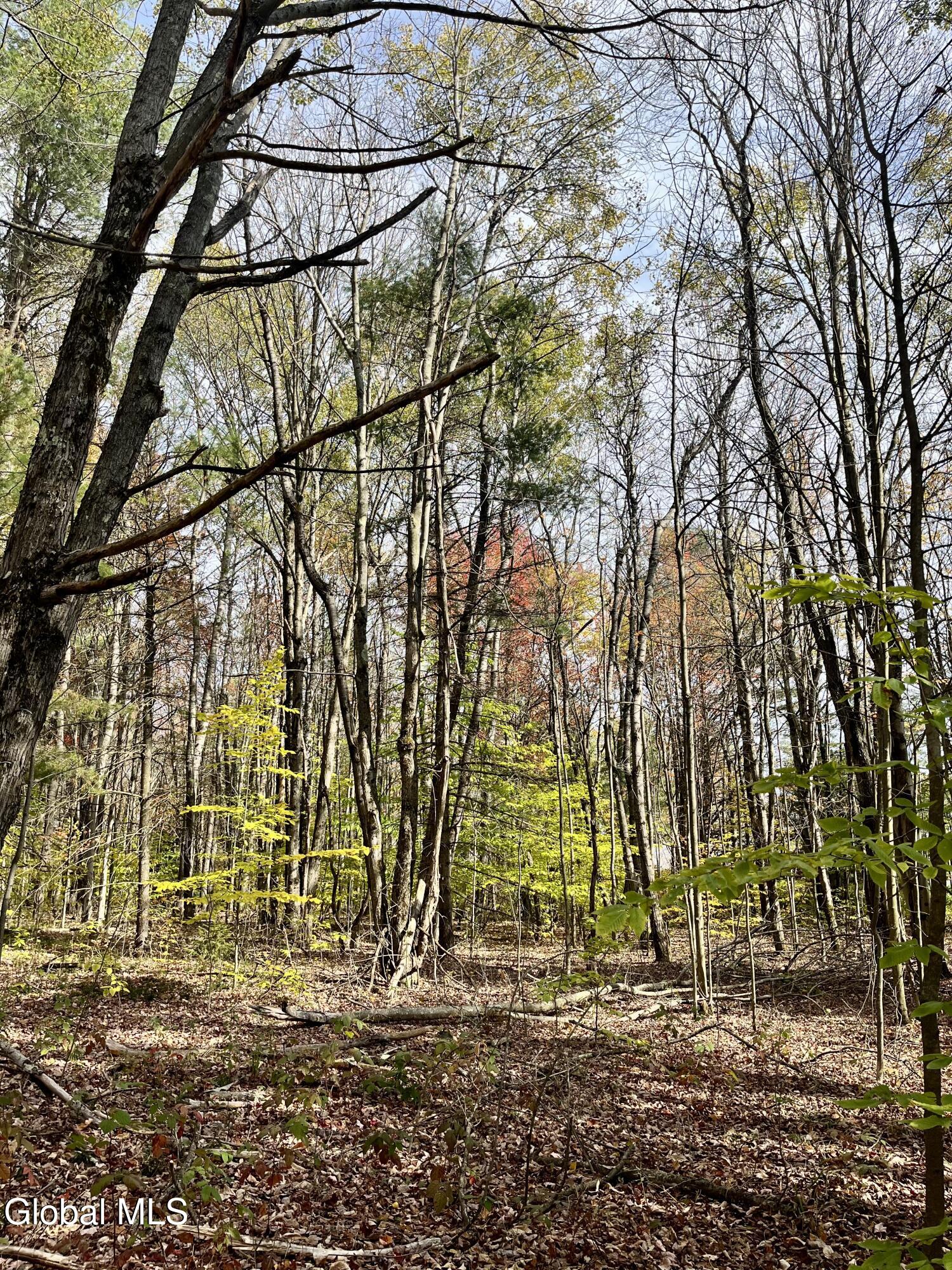 1064 Titus Lake Road Harpersfield, NY 12093 - Photo 39 of 42 IMG_3019