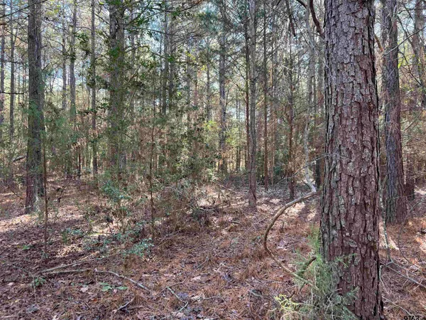 $92,800 | 130 Hughes Springs, Hughes Springs, TX 75656