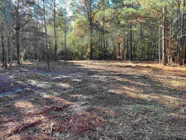 $92,800 | 130 Hughes Springs, Hughes Springs, TX 75656