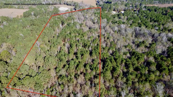 $92,800 | 130 Hughes Springs, Hughes Springs, TX 75656