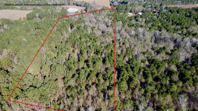 a view of a lake with a park