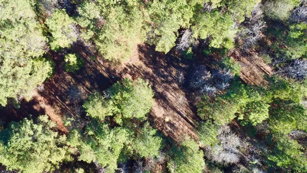 $92,800 | 130 Hughes Springs, Hughes Springs, TX 75656