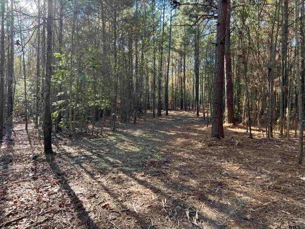 $92,800 | 130 Hughes Springs, Hughes Springs, TX 75656