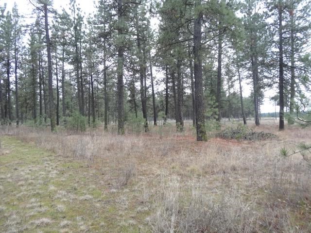 3403 West Smythe Road Cheney, WA 99004 - Photo 4 of 20