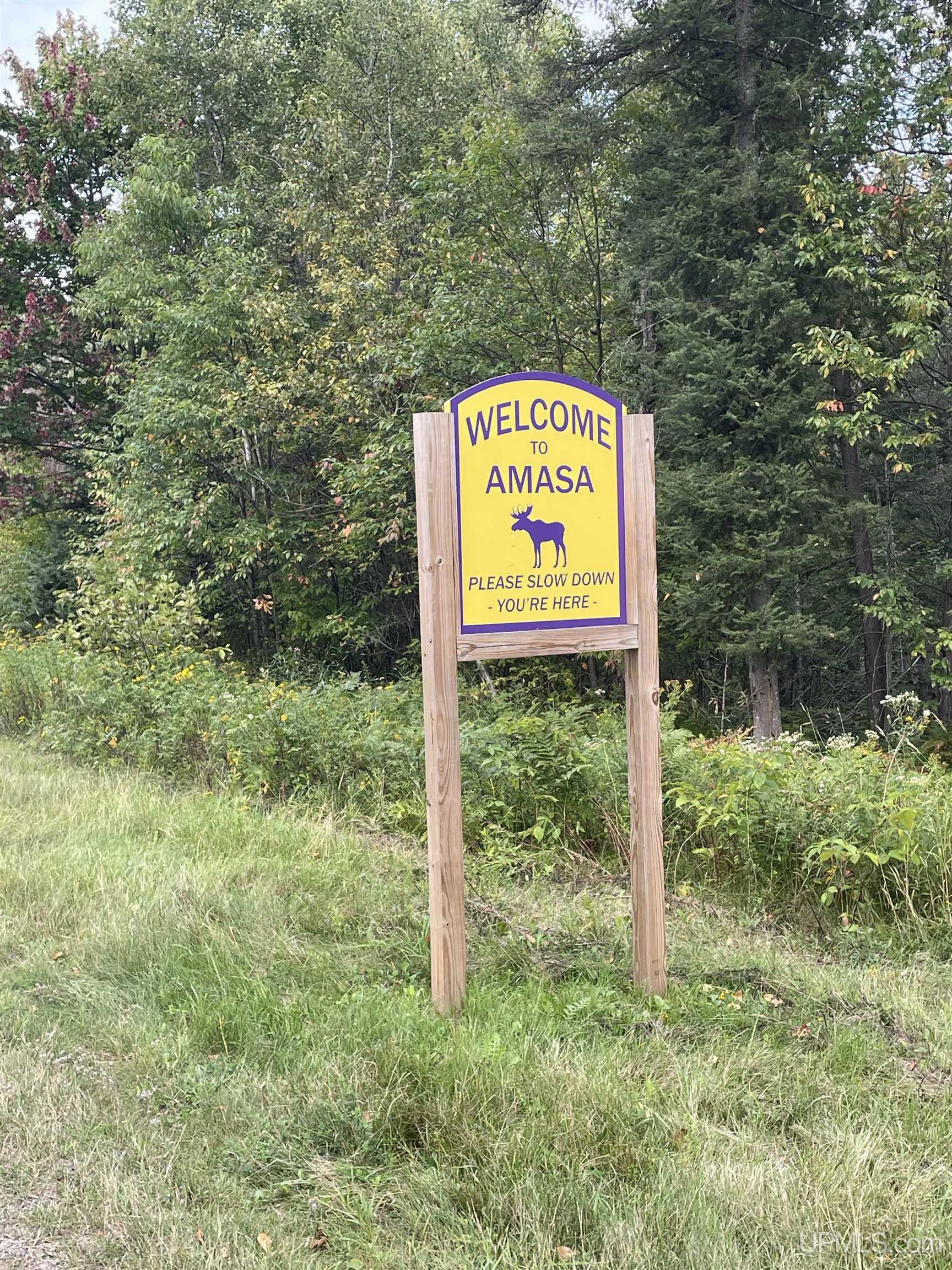 Tbd Wests Road Amasa, MI 49903 - Photo 3 of 3
