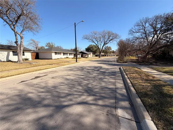 a view of a yard with trees