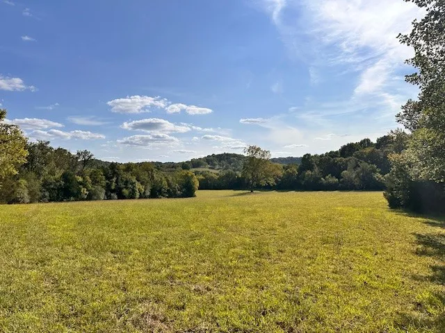a view of an ocean from a yard