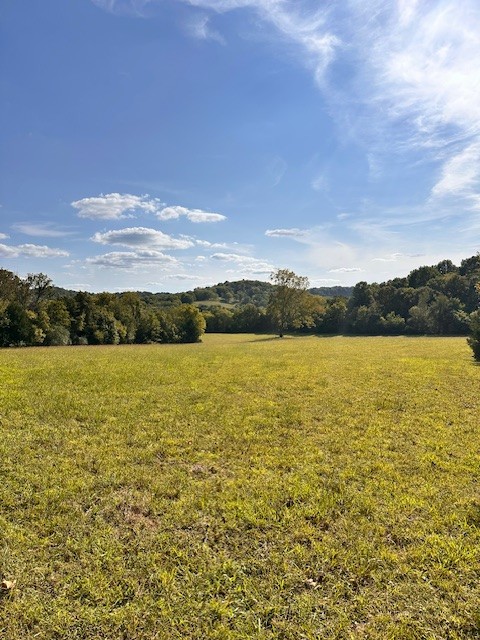 3242 Whitesell Road Culleoka, TN 38451 - Photo 16 of 17 a view of an ocean and beach