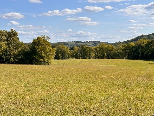 3242 Whitesell Road Culleoka, TN 38451 - Photo 17 of 17 a view of an ocean and a mountain