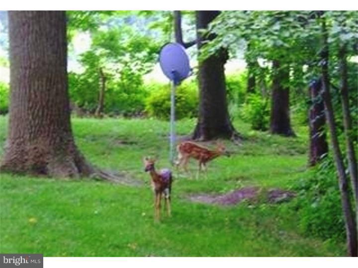 1202 Corner Ketch Road Newark, DE 19711 - Photo 25 of 25 Gallery Image 25