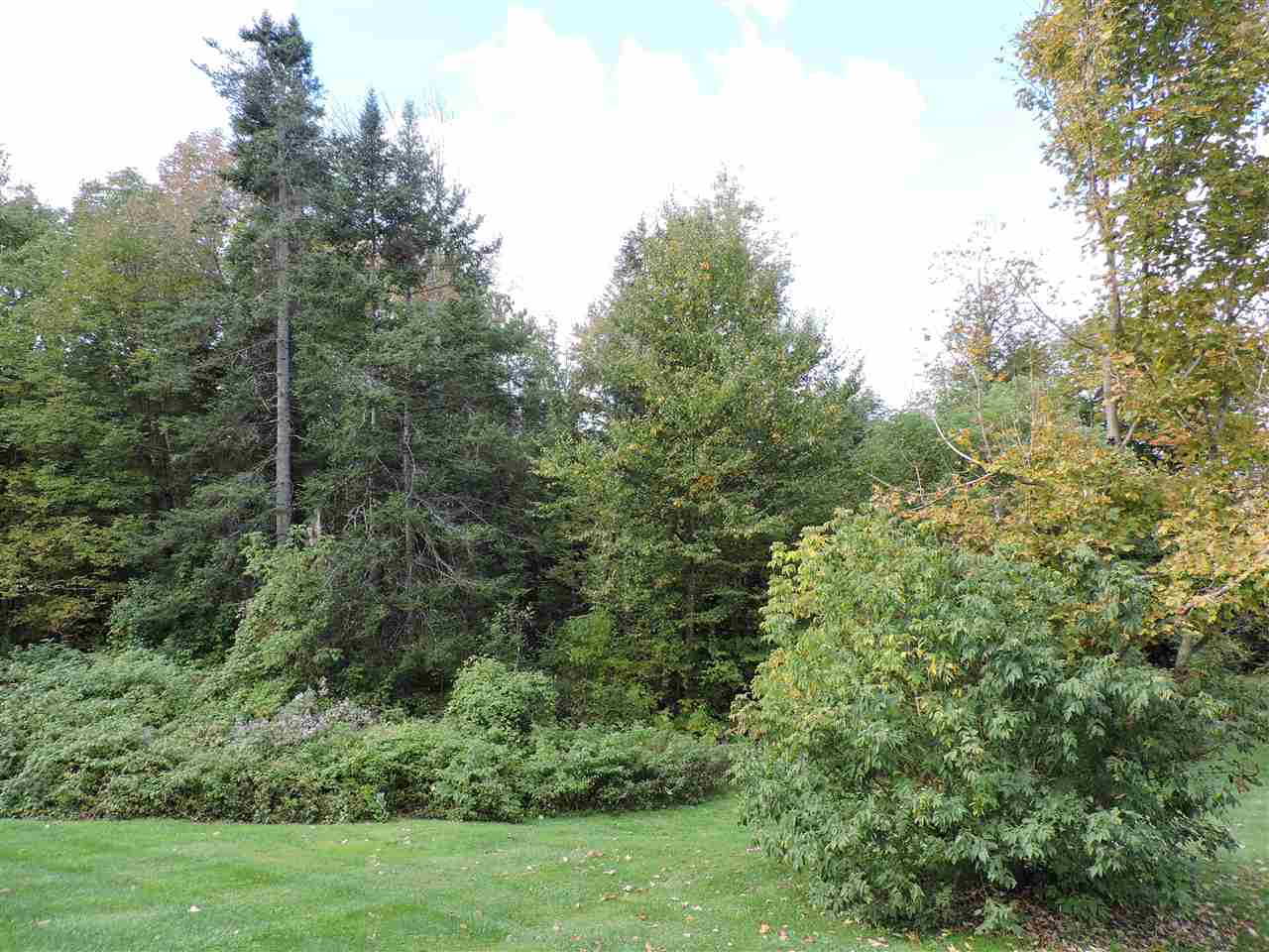 390 Lower Depot Road Marshfield, VT 05658 - Photo 15 of 28 Gallery Image 15