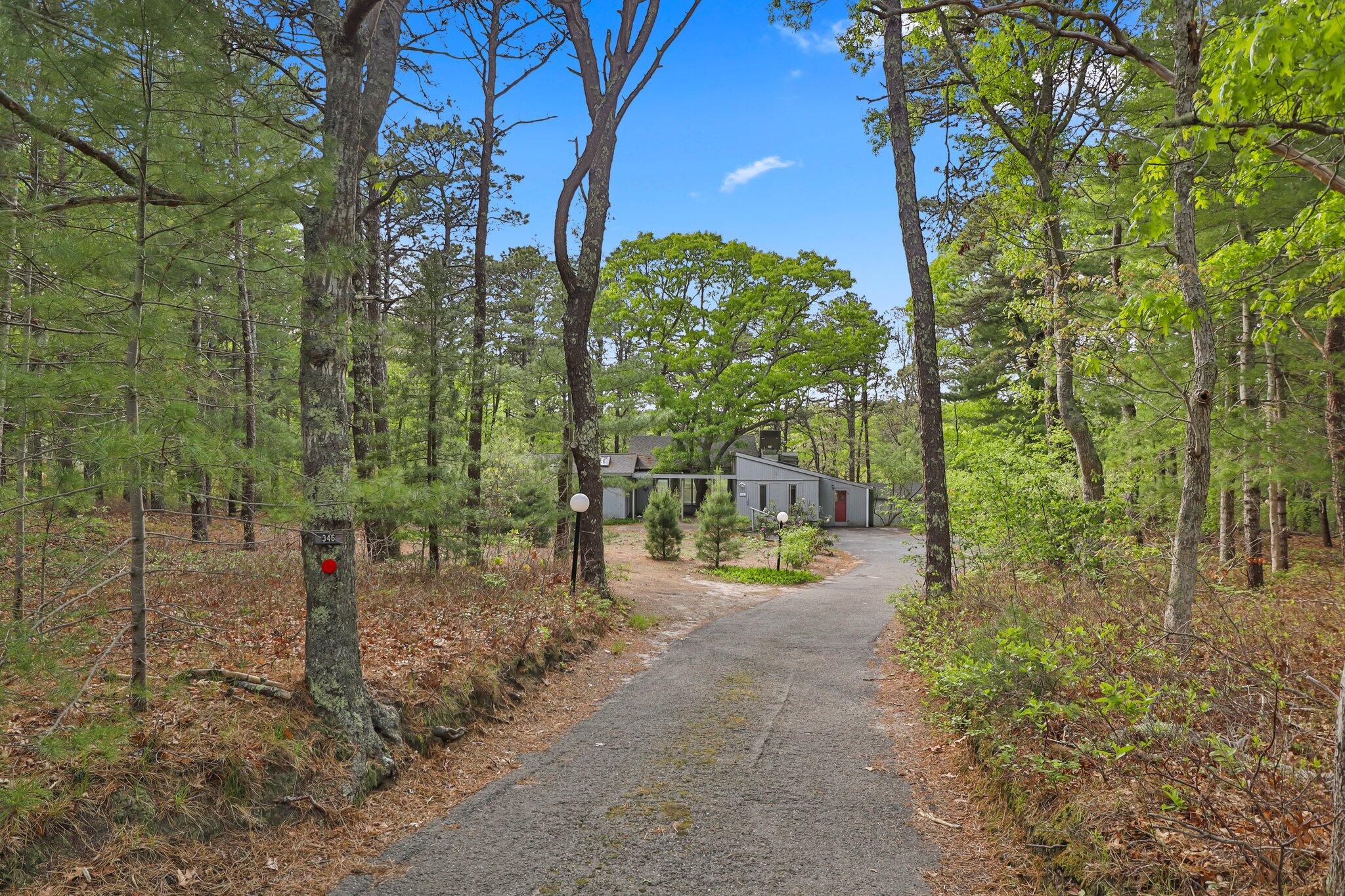 a view of a road with plants and trees