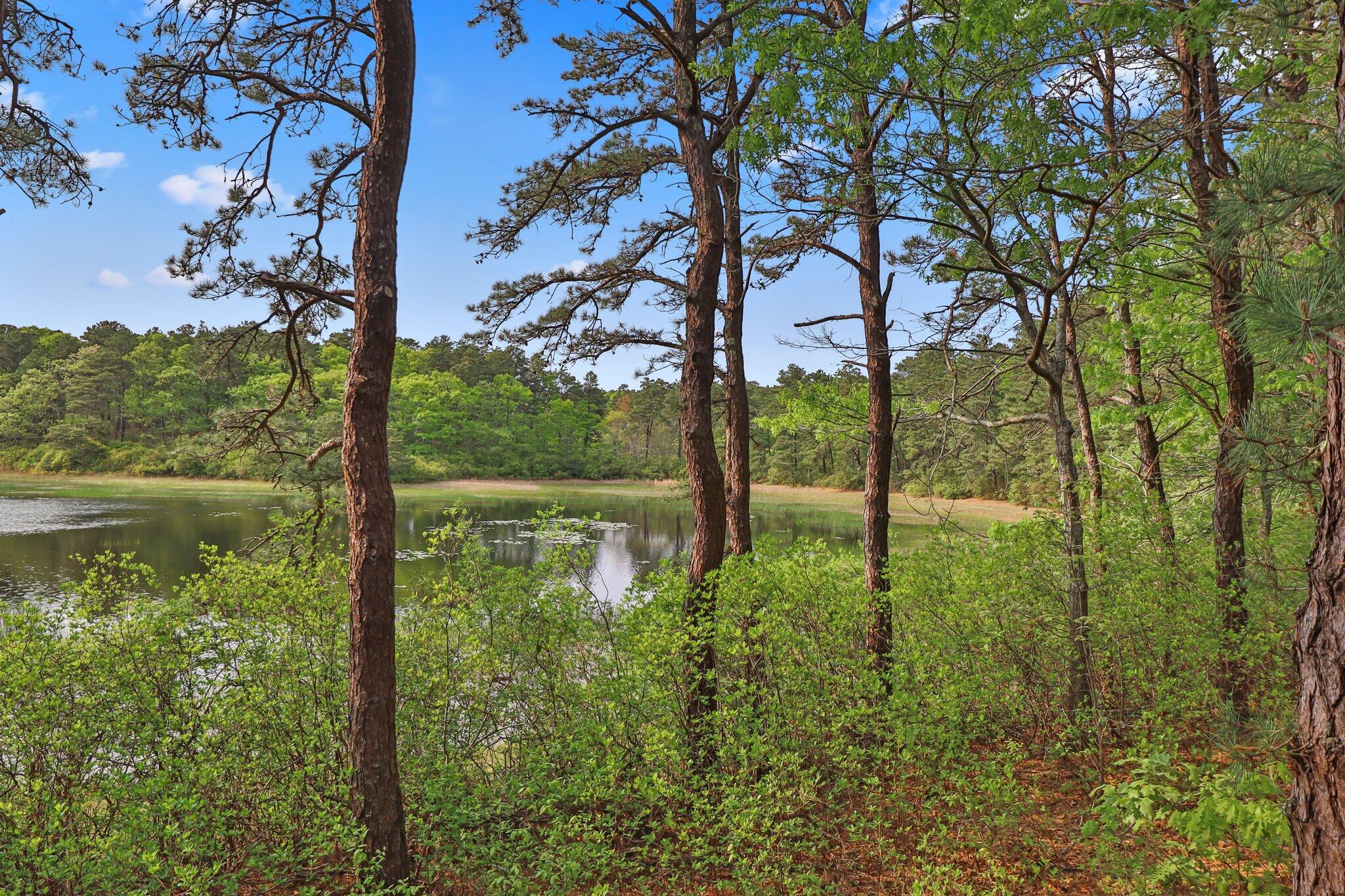 346 Setucket Road Dennis, MA 02638 - Photo 12 of 41 a view of lake with green space