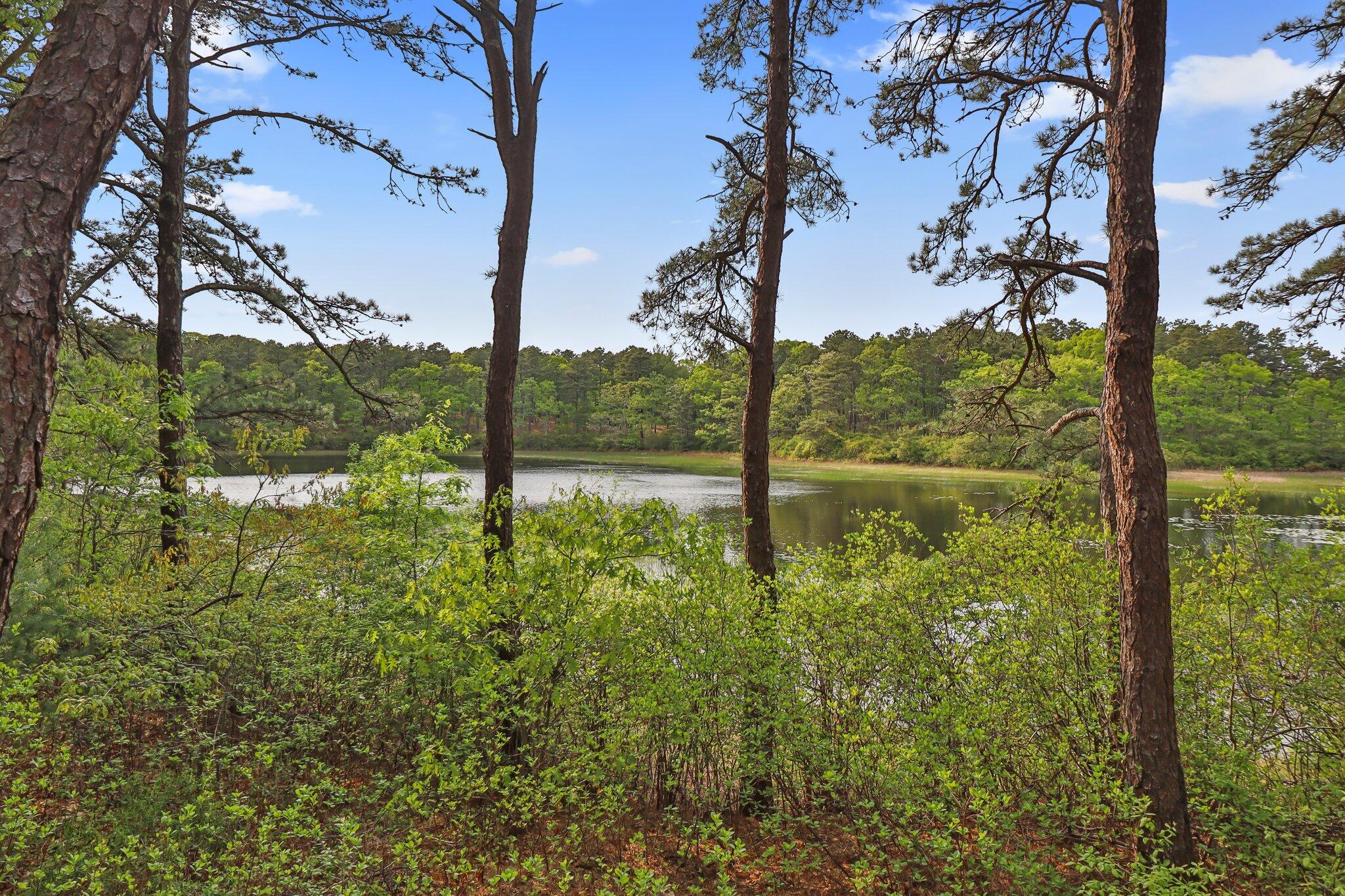 346 Setucket Road Dennis, MA 02638 - Photo 13 of 41 a view of lake from balcony