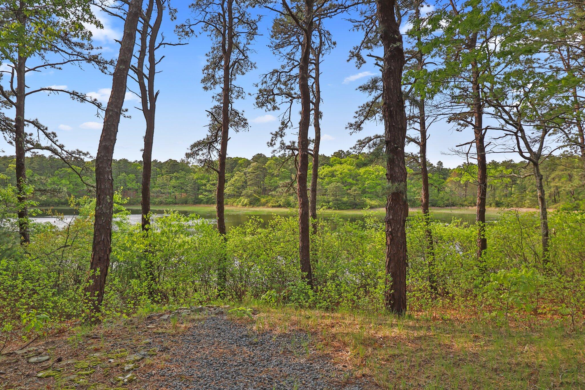 346 Setucket Road Dennis, MA 02638 - Photo 14 of 41 a view of outdoor space and garden