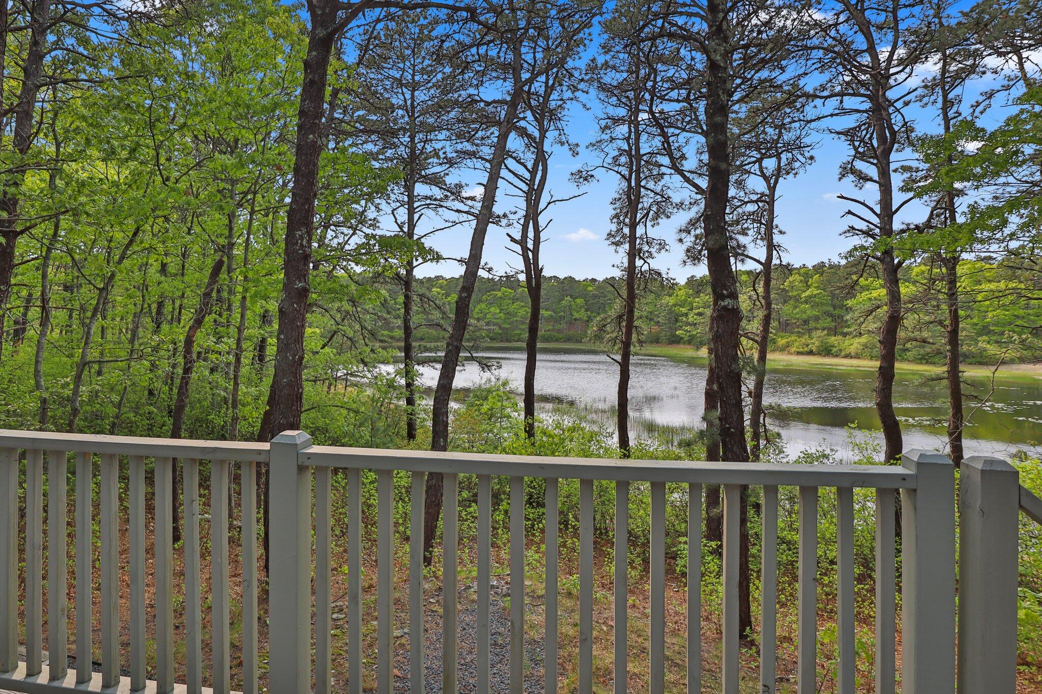 346 Setucket Road Dennis, MA 02638 - Photo 9 of 41 a view of outdoor space with trees