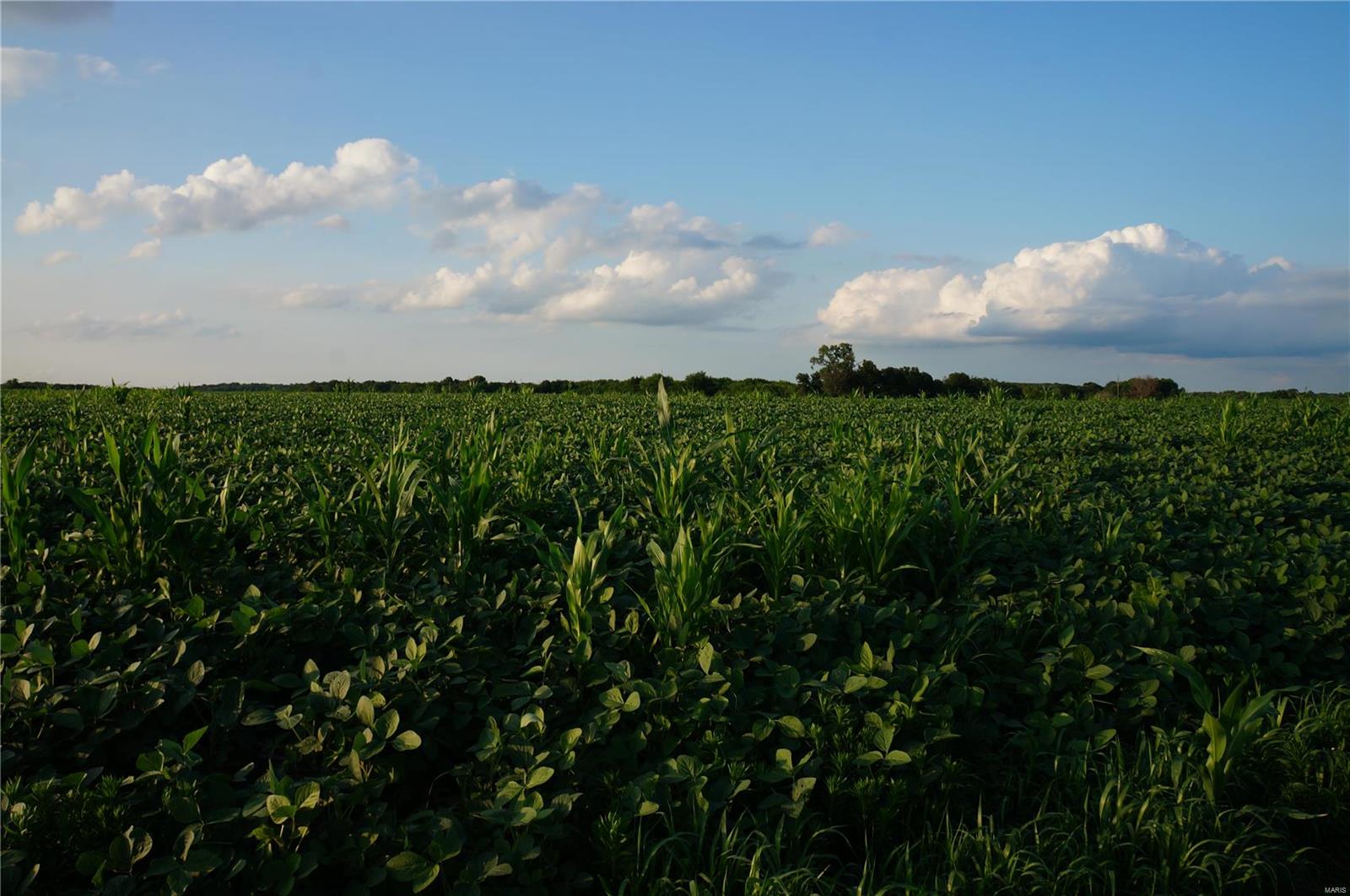 0 Farmer's Ridge Road Nebo, IL 62355 - Photo 1 of 8 Gallery Image 1