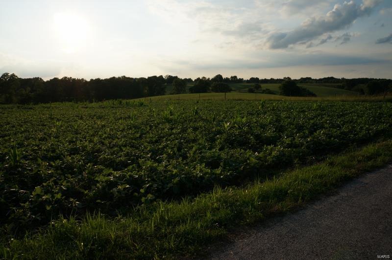 0 Farmer's Ridge Road Nebo, IL 62355 - Photo 3 of 8 Gallery Image 3