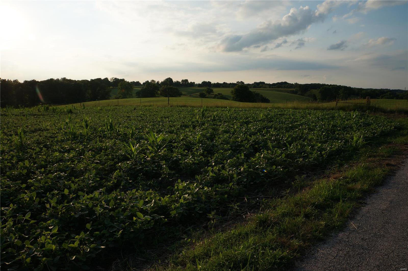 0 Farmer's Ridge Road Nebo, IL 62355 - Photo 4 of 8 Gallery Image 4