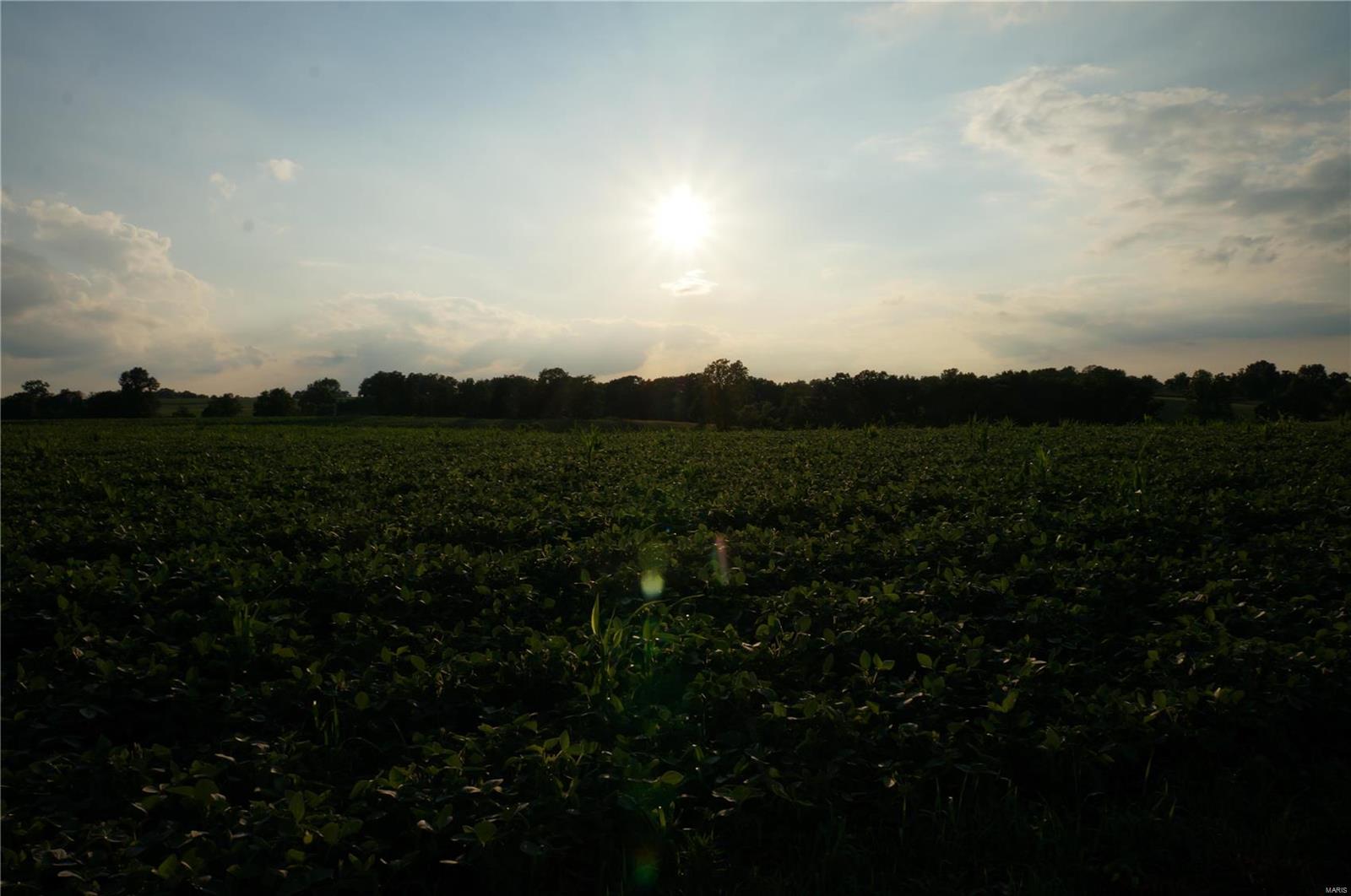 0 Farmer's Ridge Road Nebo, IL 62355 - Photo 7 of 8 Gallery Image 7