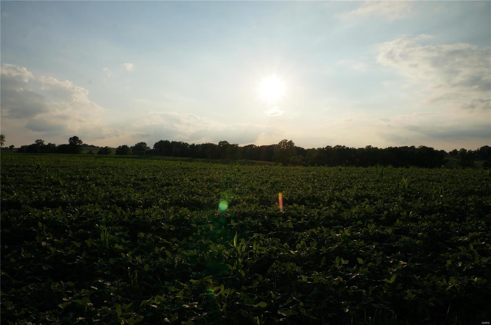 0 Farmer's Ridge Road Nebo, IL 62355 - Photo 8 of 8 Gallery Image 8