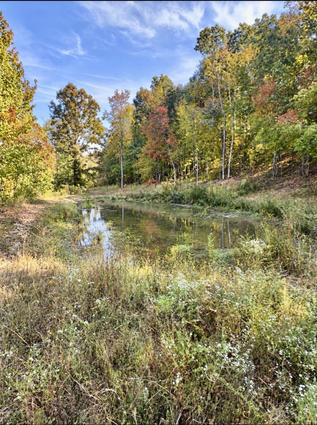 3600 Dee O'Guin Road Centerville, TN 37033 - Photo 35 of 43 Gallery Image 35