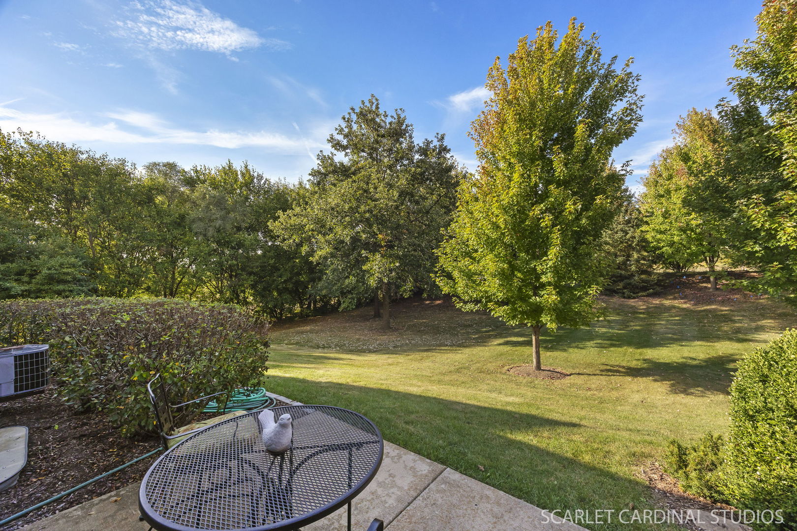 869 Cambridge Drive Batavia, IL 60510 - Photo 18 of 19 a view of a swimming pool with a yard